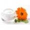 pot of face cream and calendula flower